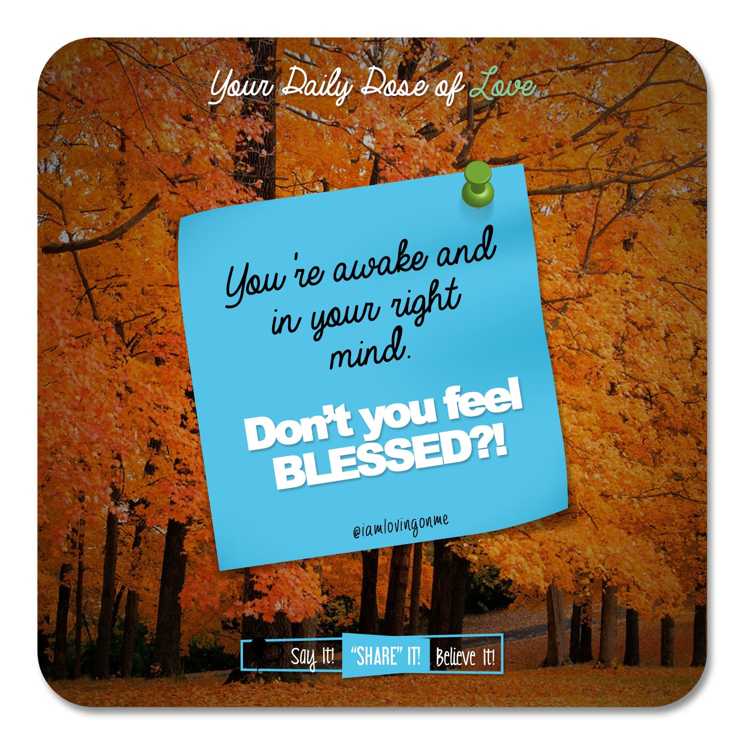 Feeling Blessed?