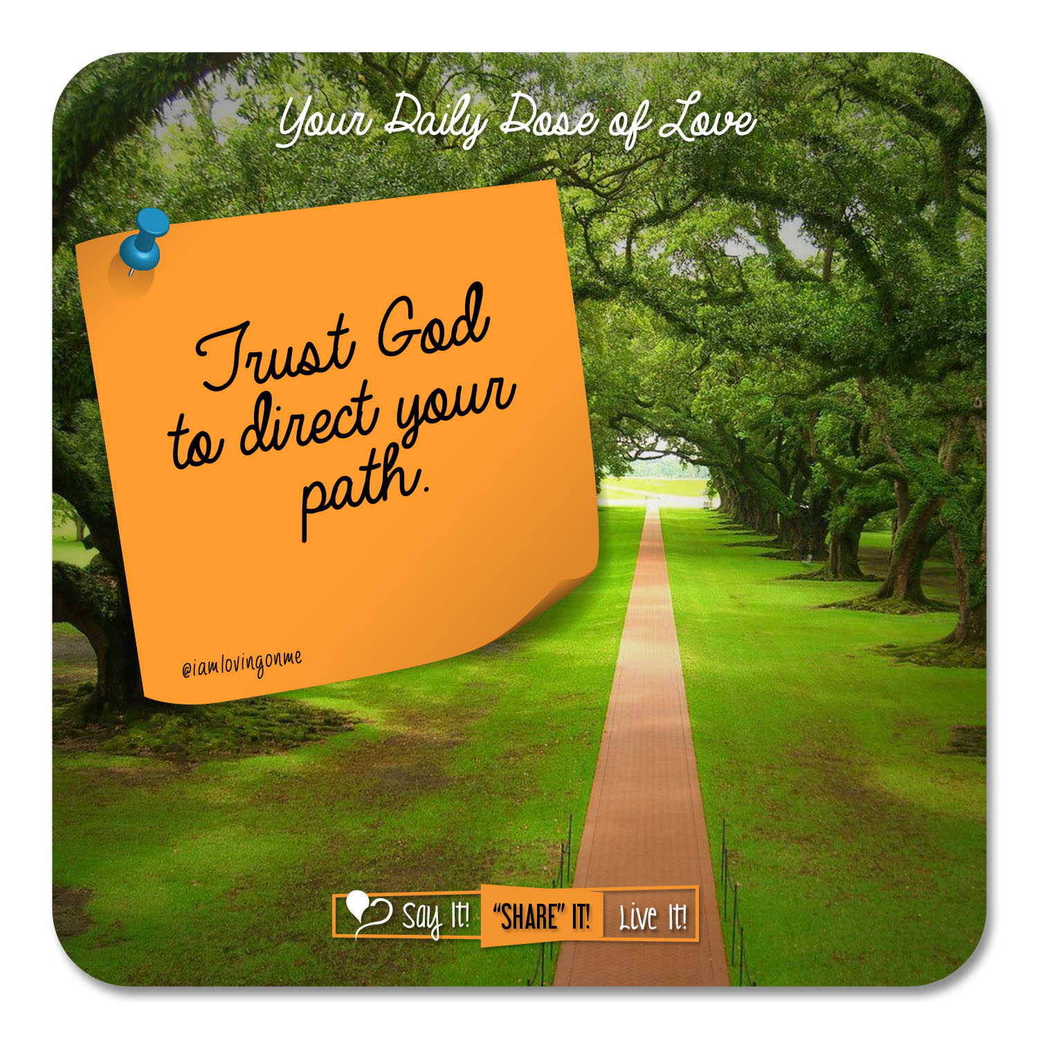 Trust God to Direct Your Path