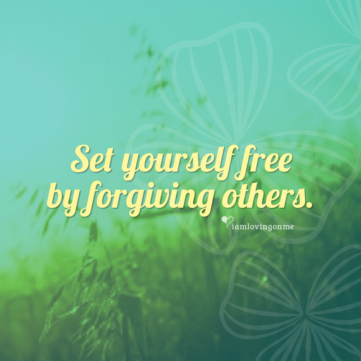 Forgive and Set Yourself Free